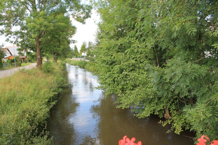 Singold - Fischereiverein Wehringen